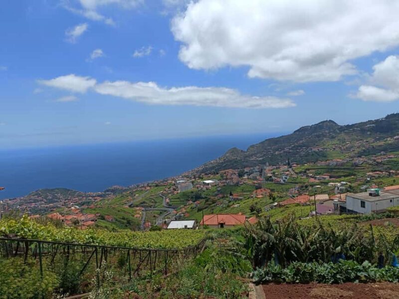 Half Day Tour 4x4 Camara de Lobos Glass Botton View - Introduction