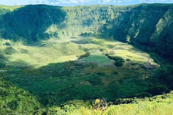 Half-Day Tour around Faial Island - Authentic Traveler Feedback