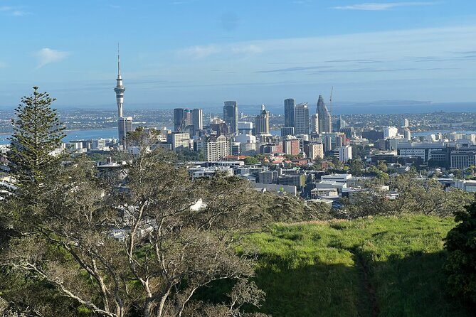 Half-Day Tour: AUCKLAND CITY Highlights with Hotel Pickup - Discover Auckland in a Half-Day: An Honest Look at the City Highlights Tour