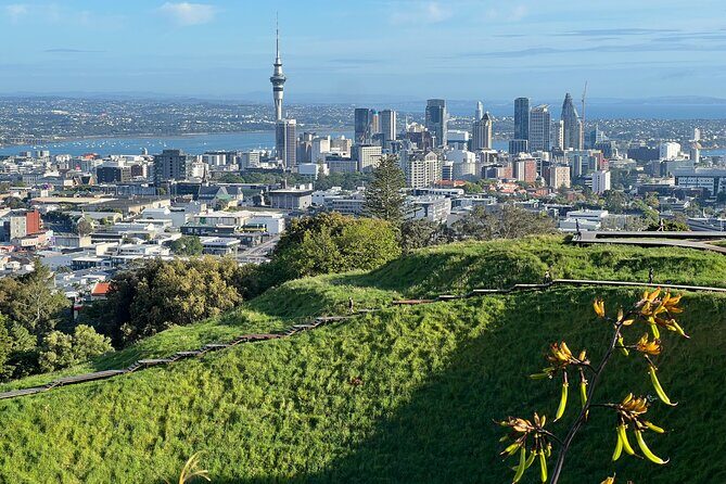 Half-Day Tour: AUCKLAND CITY Highlights with Hotel Pickup - A Deep Dive into What You Can Expect