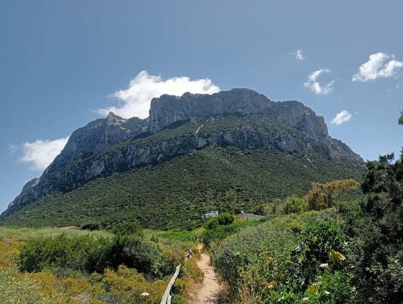 Half-day tour by dinghy in the Tavolara Marine Protected Area - Why You Might Love This Tour