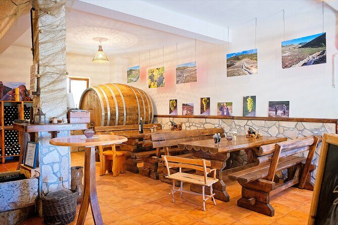 Half Day Tour - Deep and Dark Red Wine of Peljeac - The Realities of the Experience: Pros and Cons