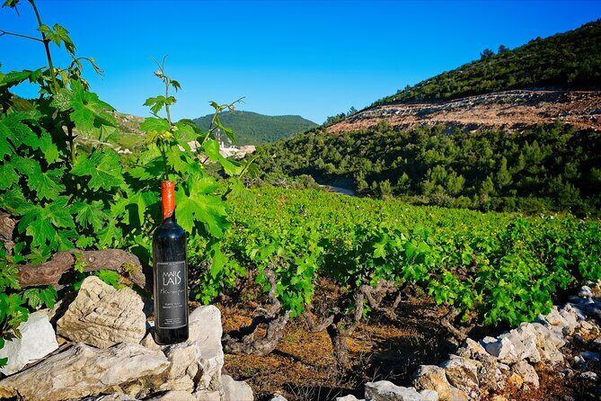 Half Day Tour - Deep and Dark Red Wine of Peljeac - Final Thoughts: Is It Worth It?