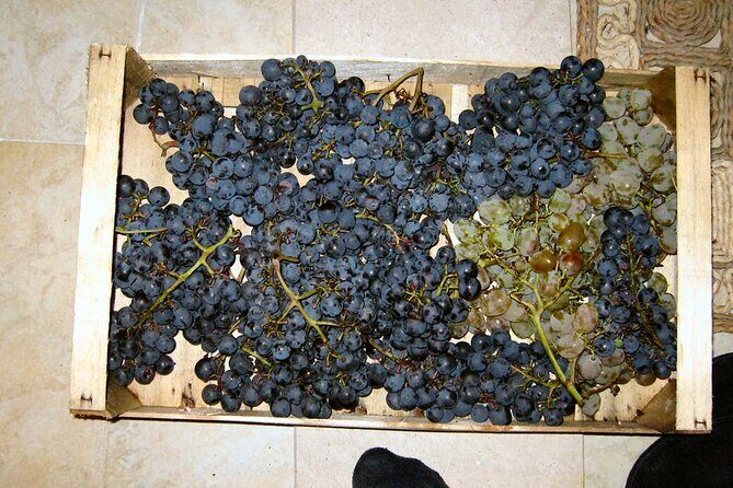 Half Day Tour - Deep and Dark Red Wine of Peljeac - FAQs About the Deep and Dark Red Wine of Peljeac Tour