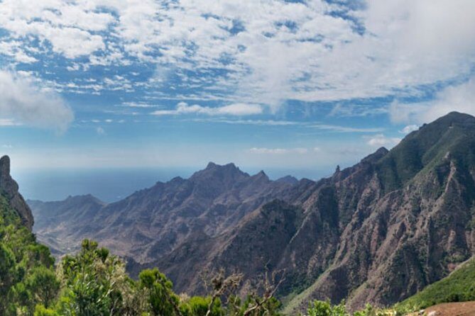 Half Day Tour Discovering Anaga Tenerife - A Detailed Look at the Experience