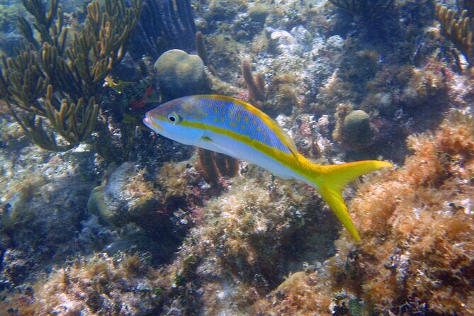 Half-Day Tour Discovering Sian Ka´an with Lunch - Frequently Asked Questions (FAQs)