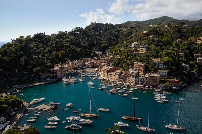 Half-day tour from Genova to Portofino - The Itinerary: What to Expect