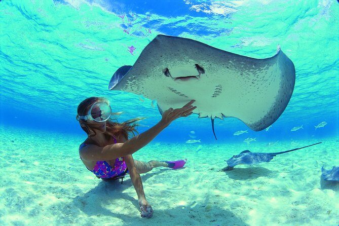 Half Day Tour : Moorea Snorkeling & Sailing on a Catamaran named Taboo - Final Thoughts