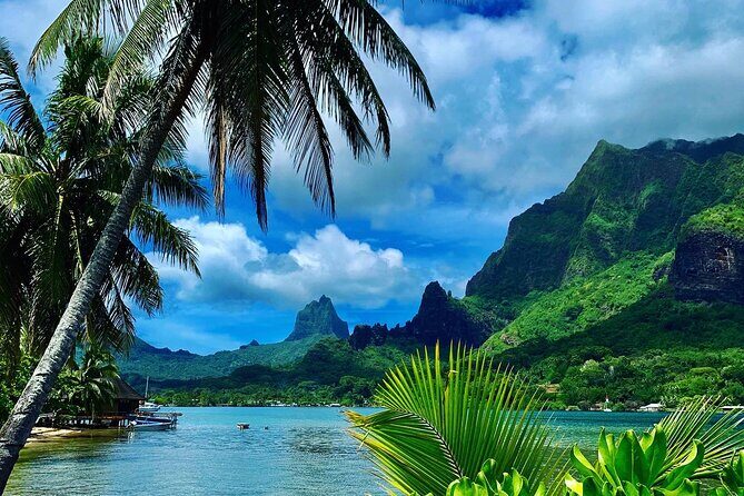Half-Day Tour of Moorea Island in a Small Group - Key Points