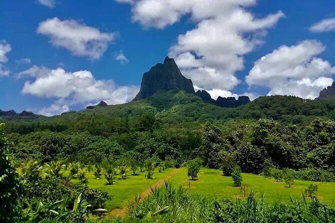 Half-Day Tour of Moorea Island in a Small Group - Who Should Consider This Tour?
