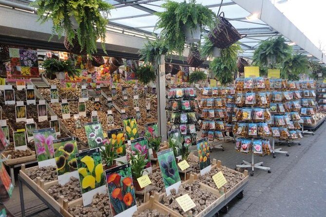 Half-Day Tour of Red Light District and Jordaan District with Private Guide in Amsterdam - Detailed Review of the Tour Experience