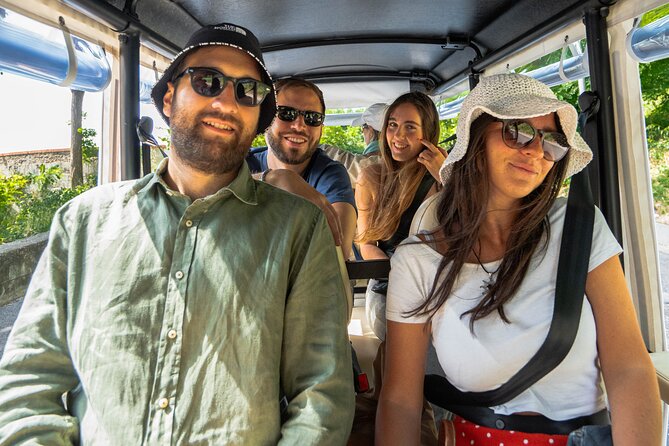 Rome Golf Cart Tour : Half-Day Private or Small Group Sightseeing - The “View of the City” Moment