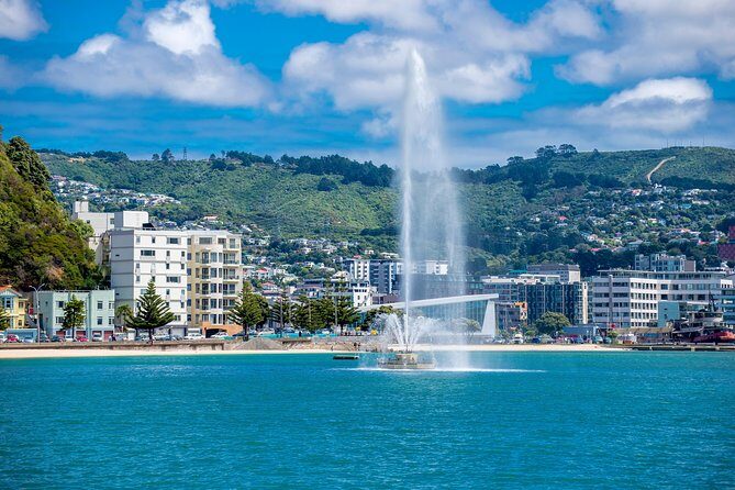 Half Day Tour of Wellington - Key Points