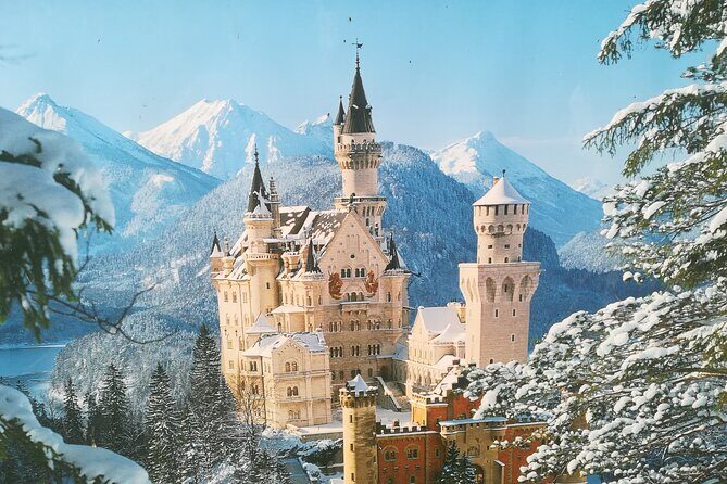 Half day tour private from Munich to Neuschwanstein Castle - What Travelers Are Saying