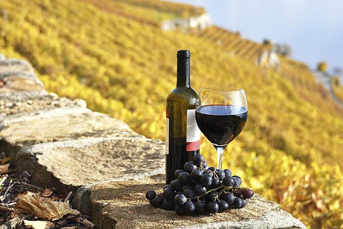 HALF-DAY Tour to Chianti Wine Region: CHIANTI COLORS & FLAVORS - What to Expect from the Tour