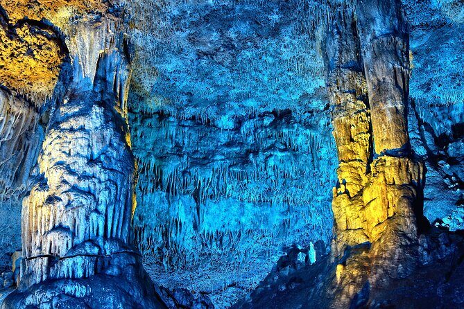 Half Day Tour to Dinosaur Land in Mallorca - Final Thoughts