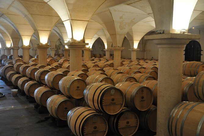 Half-day tour to Saint Emilion, a UNESCO site, with a private guide - Key Points