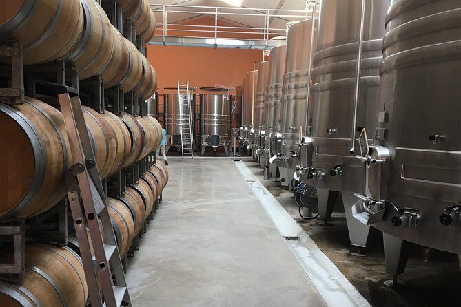 Half-day tour to Saint Emilion, a UNESCO site, with a private guide - Who Should Consider This Tour?