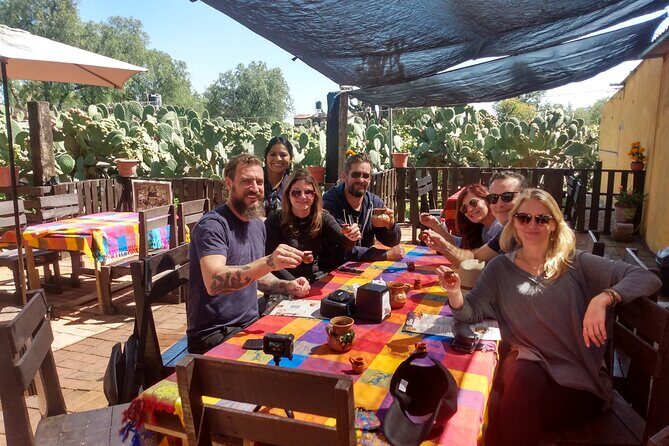 Half-Day Tour to Teotihuacan Pyramids from Mexico City - Transportation and Comfort