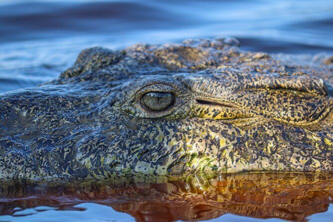 Half-Day Tour to Ventanilla, Mazunte, Zipolite and Puerto Angel - The Experience of the Tour: What Works Well