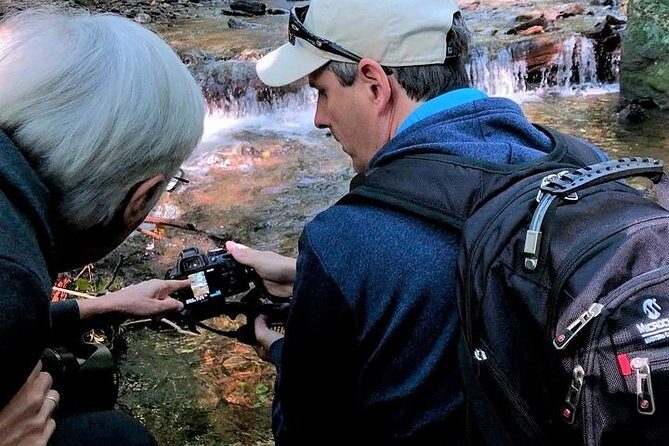 Half-Day Tour With Instruction in Vistas & Waterfall Photography - Key Points