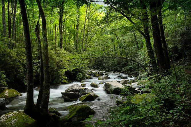 Half-Day Tour With Instruction in Vistas & Waterfall Photography - Real Experiences from Past Guests