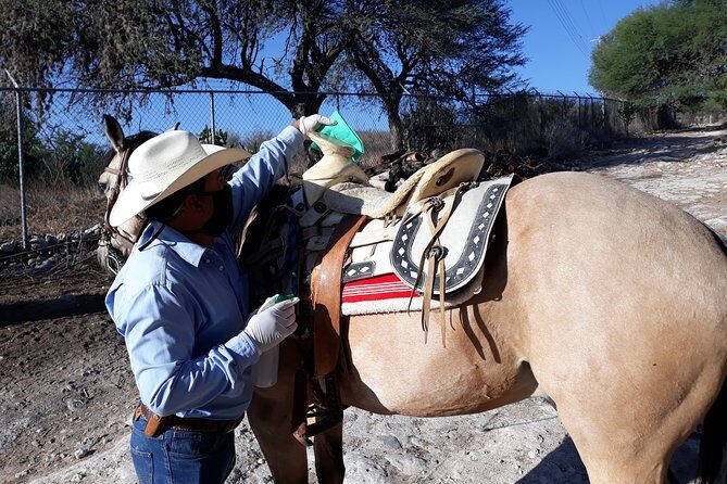 Half Day Trail Riding in San Miguel de Allende - An Honest Look at the Trail Riding Tour