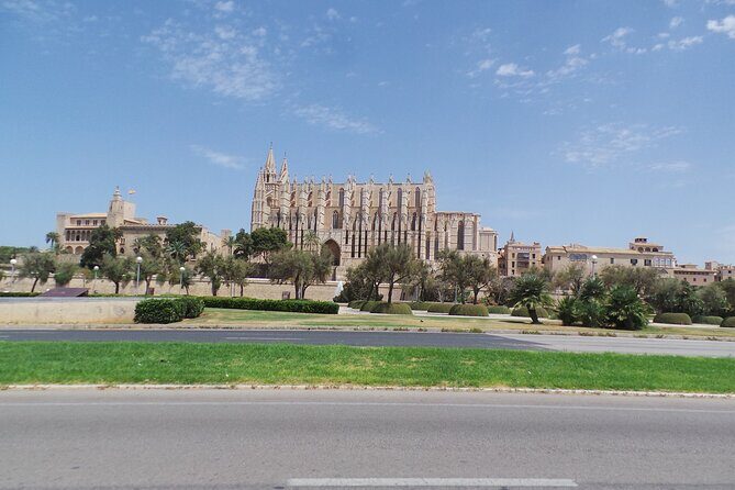 Half Day Trike Tour from Paguera - What to Expect on the Tour