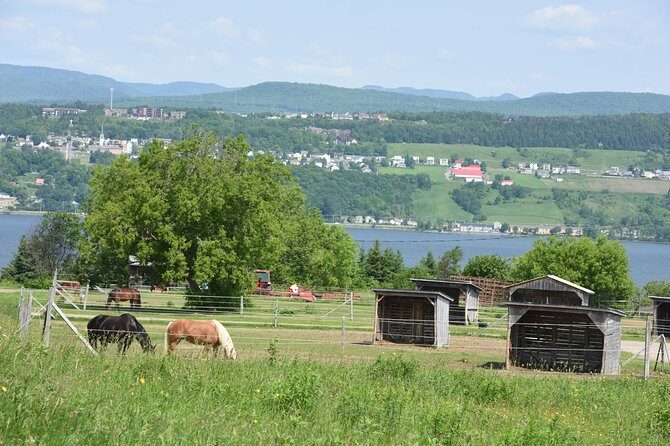 Half-Day Trip to Montmorency Falls and Ste-Anne-de-Beaupré from Quebec city - Final Thoughts: Is It Worth It?