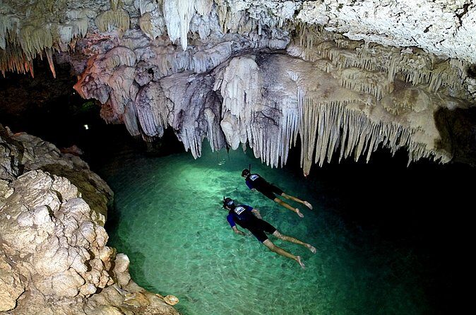 Half-Day Underwater World Tour - Is This Tour Right for You?