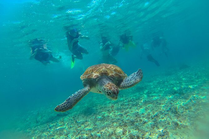 Half-Day Underwater World Tour - FAQs