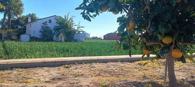 Half Day Valencia Foodie Cycling Tour - Who This Tour Is Best For