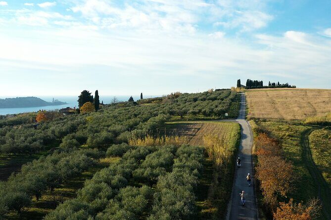 Half Day Vespa Countryside Tour and Tastings in Istria - FAQs