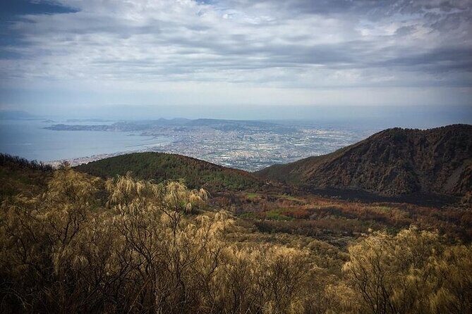 Half-Day Vesuvius Drive and Summit Hike from Naples with Lunch - Final Takeaway