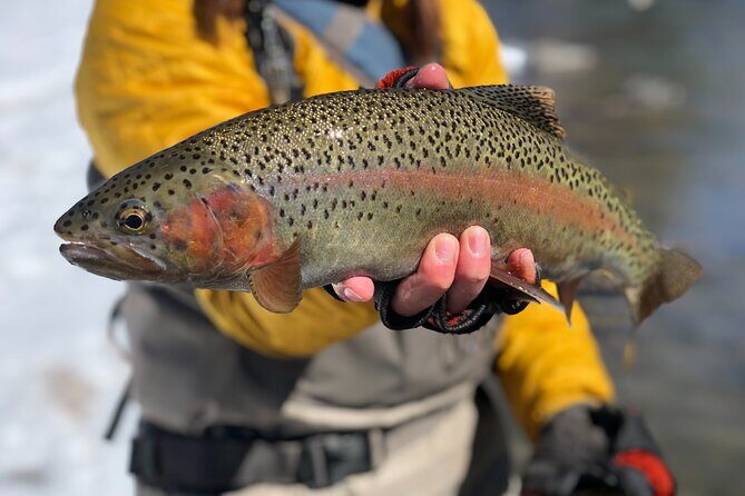 Half Day Walk and Wade Fly Fishing Trip - Exploring the Half Day Walk and Wade Fly Fishing Trip in Vail