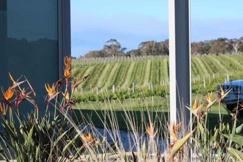Half day Wine and Sights Discovery Tour Busselton - An Honest Look at the Experience