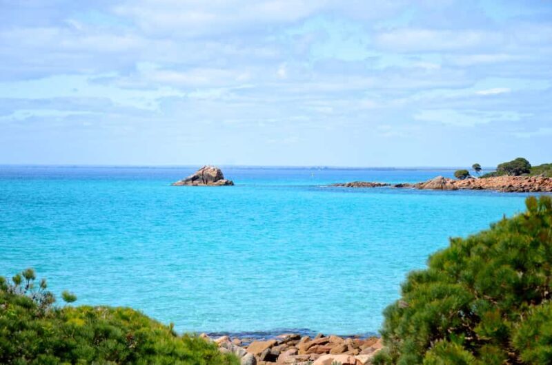 Half day Wine and Sights Discovery Tour Busselton - In The Sum Up