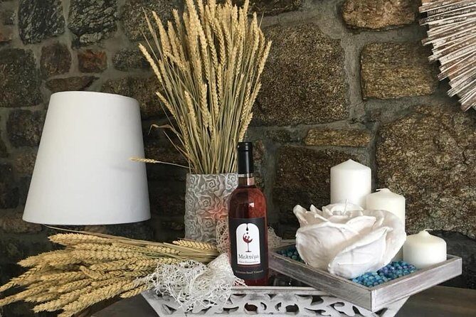 Half-Day Wine Tasting Tour in Mykonos - Who Should Consider This Tour?