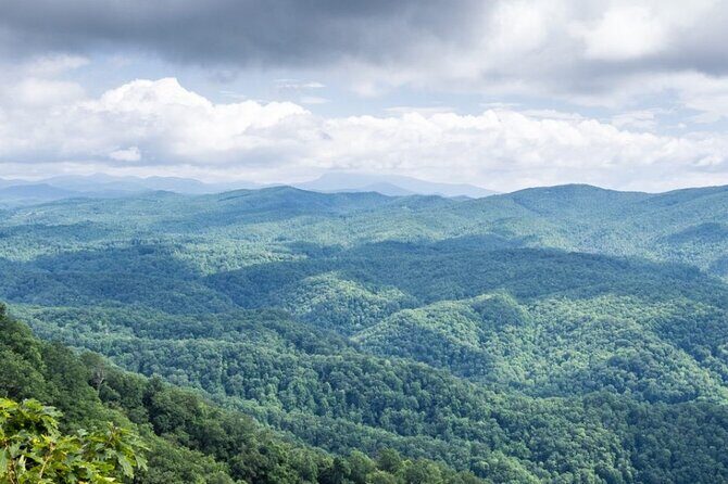 Half-Day Wine Tastings in the North Georgia Mountains - What to Expect from This Half-Day Tour