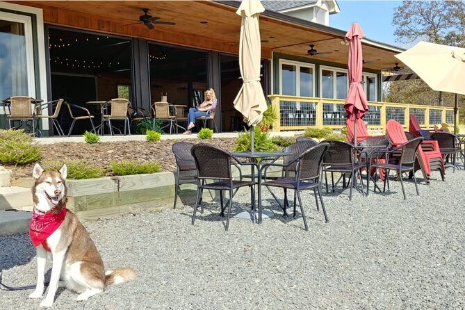 Half-Day Wine Tastings in the North Georgia Mountains - The Real Experience: Pros and Cons