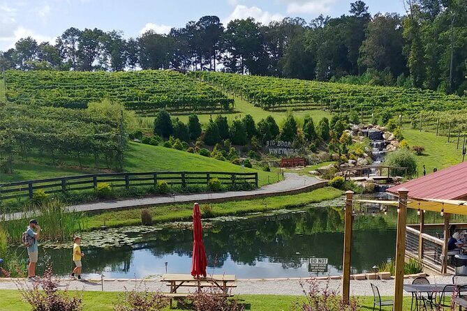 Half-Day Wine Tastings in the North Georgia Mountains - Final Thoughts