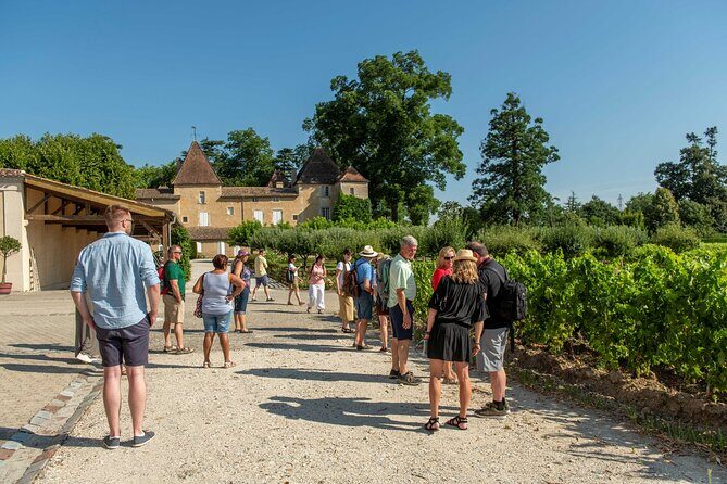 Half-Day Wine tour across Bordeauxs Vineyards - Bordeaux’s Vineyards in Focus: A Practical Look at the Half-Day Wine Tour