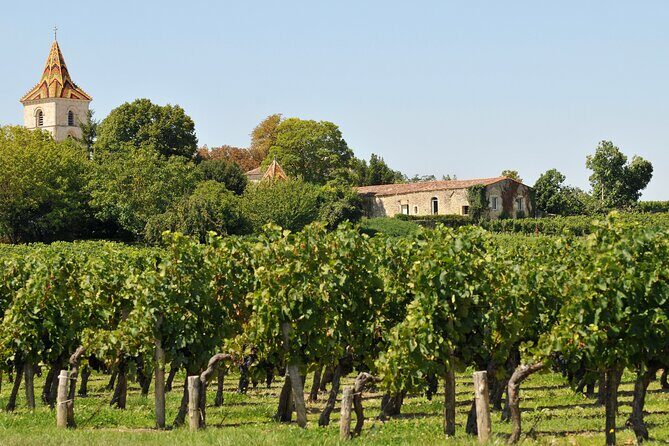 Half-Day Wine tour across Bordeauxs Vineyards - Who Will Love This Tour?