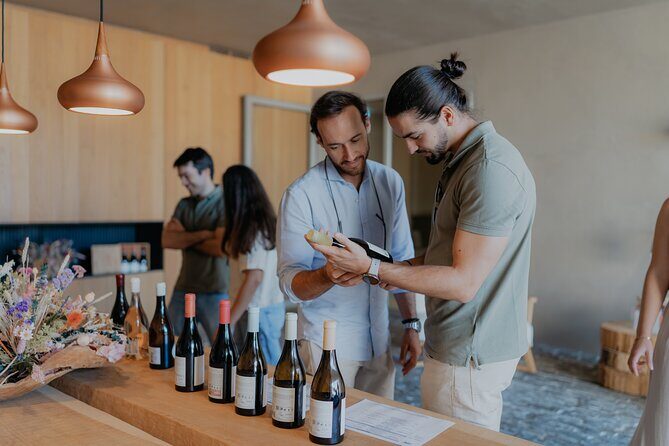 Half Day Wine Tour Around Evora - A Friendly Look at the Half Day Wine Tour Around Évora