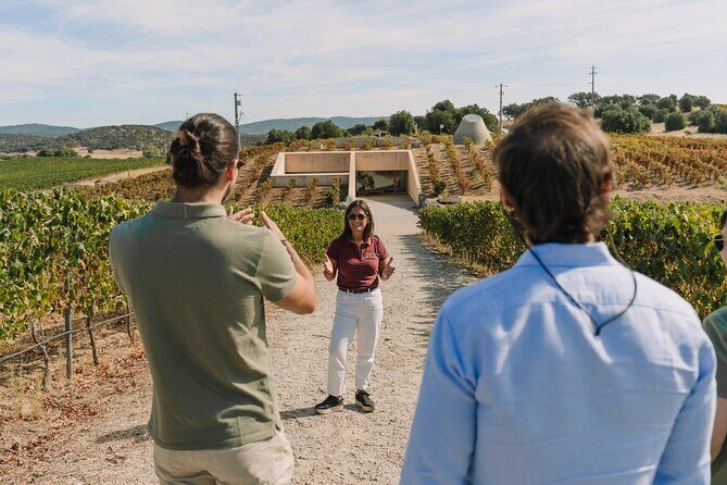 Half Day Wine Tour Around Evora - Key Points