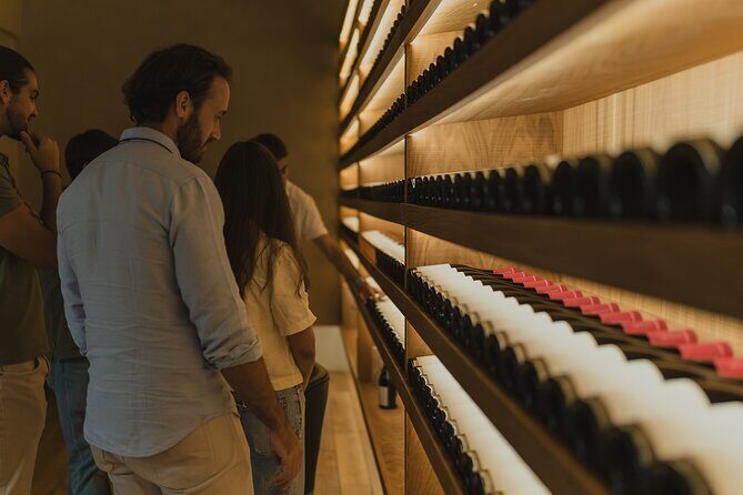 Half Day Wine Tour Around Evora - Who Should Consider This Tour