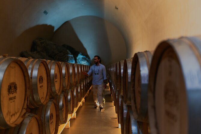 Half Day Wine Tour Around Evora - Frequently Asked Questions