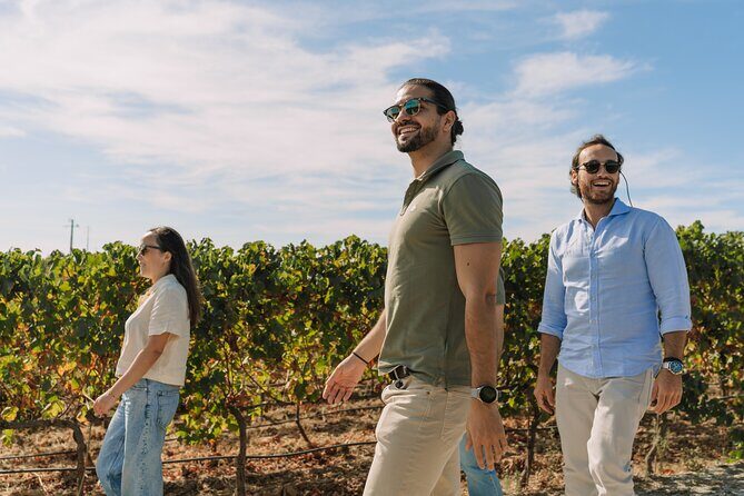 Half Day Wine Tour Around Evora - A Closer Look at the Experience