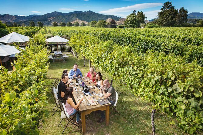 Half-Day Wine Tour from Blenheim - Cautions and Considerations