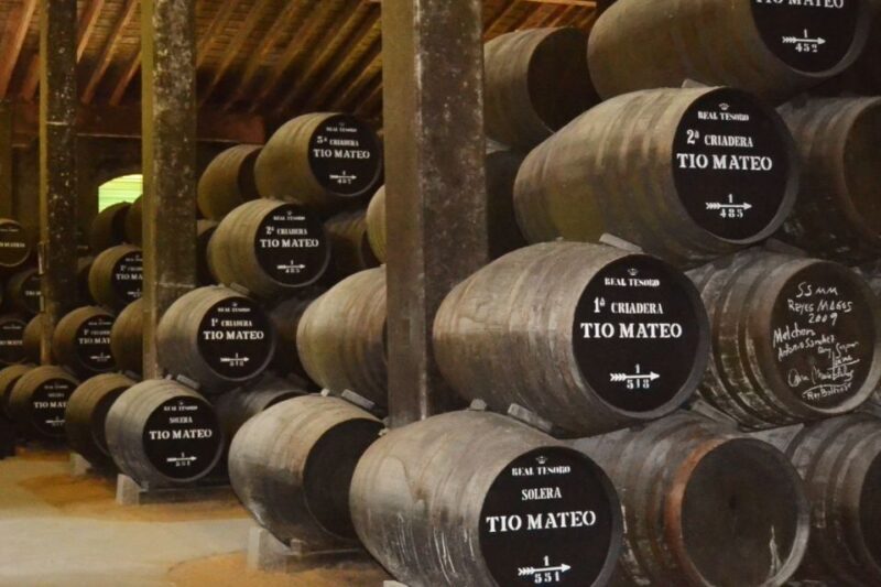 Half-Day Wine Tour in Andalusia in small group - Diving Deep into the Andalusian Wine Tour